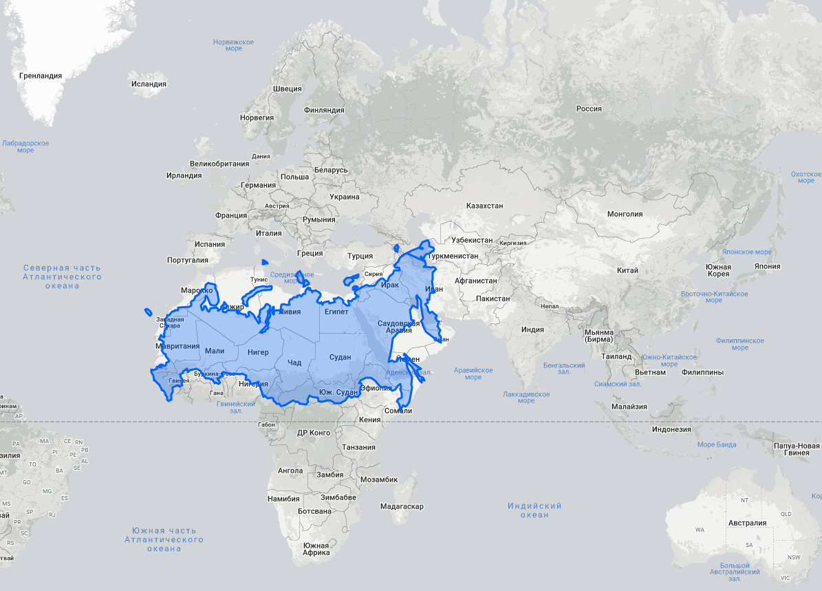 Правильная карта. Карта мира. Реальная карта мира. Карта мира в хорошем качестве. Реальные Размеры России на карте.