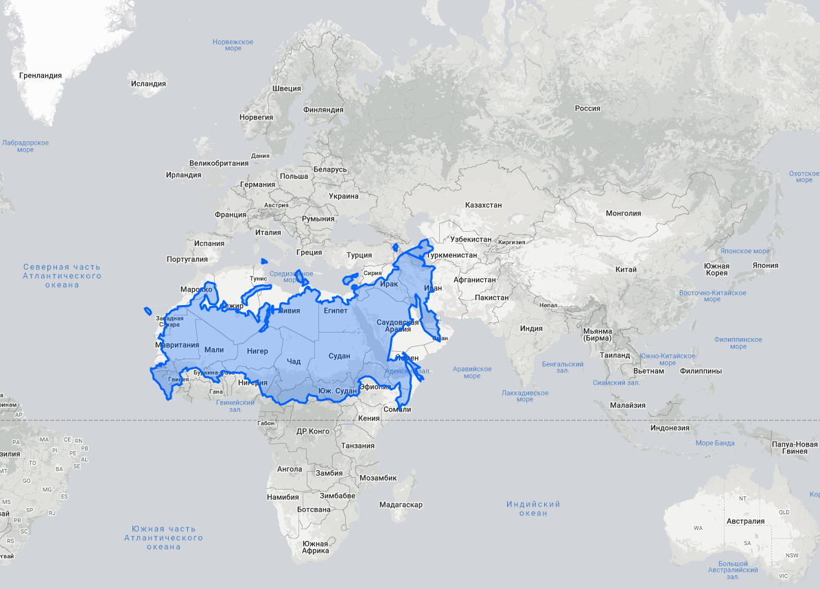 Размеры стран на карте. Карта мира. Реальная карта мира. Карта мира в хорошем качестве. Реальные Размеры России на карте.