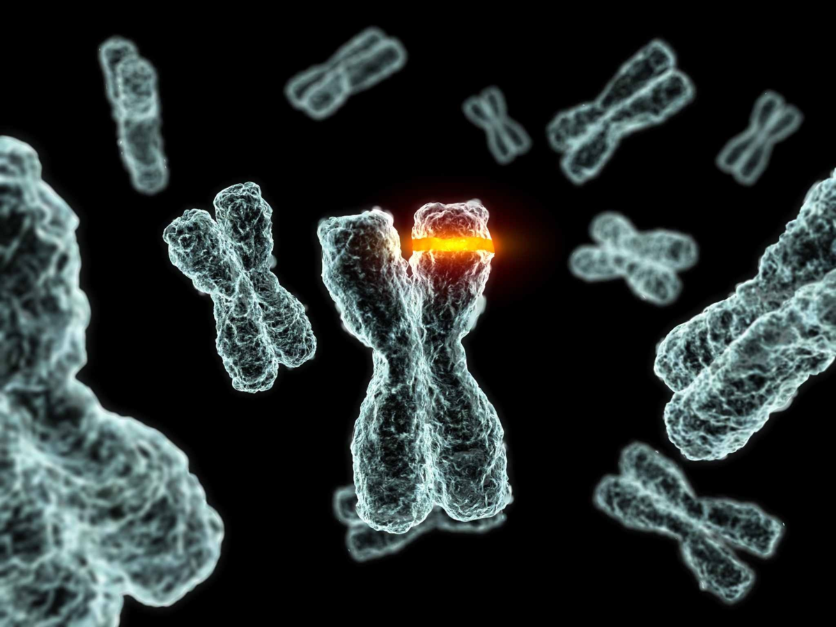 Мутация структурных генов. Генетика хромосомы мутации. Мутагены ДНК. Мутагенез генетика. Мутации микроорганизмов.