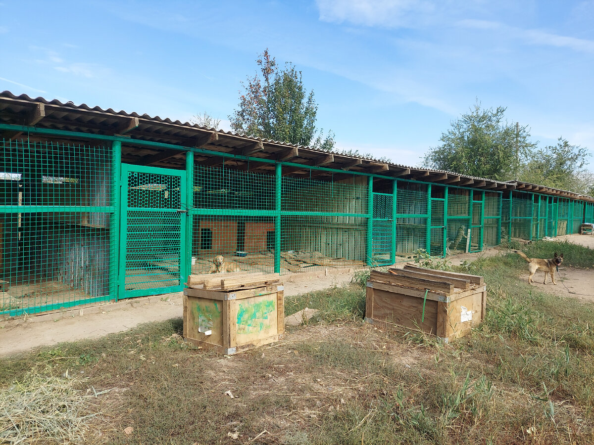 Ламп и светильников тут нет.