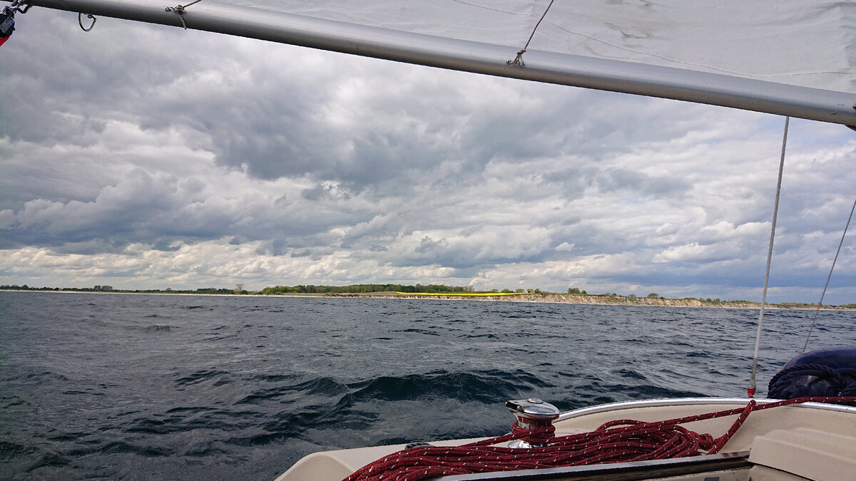 Рапсовые поля