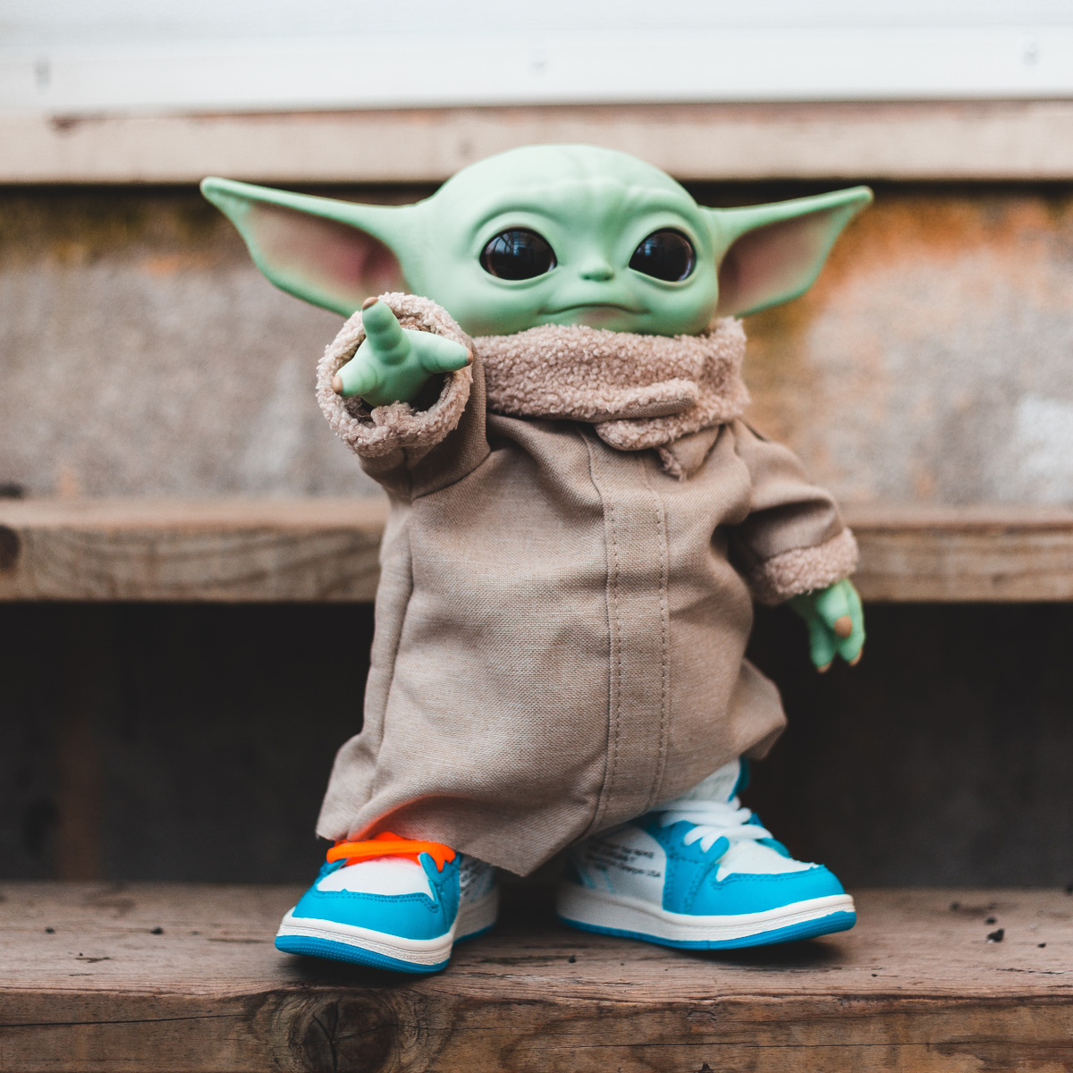 предоставлено с Canva