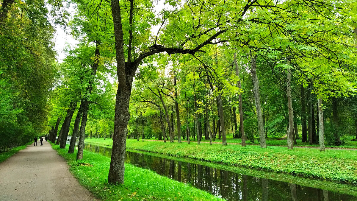 Пейзажный парк при Александровском дворце особенно прекрасен ранней осенью. Украшению парка во многом способствовали работы архитектора Адама Менеласа, проведенные им в начале XIX века.