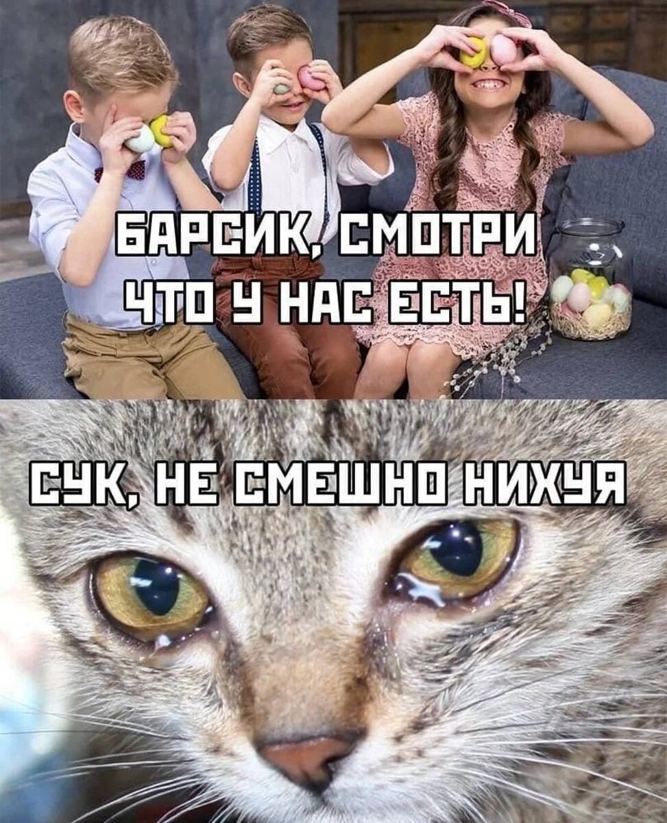 АХАХАХАХААХАХА