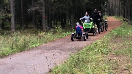 А Вы знаете, что в Ярославской области есть Сказочный лес?