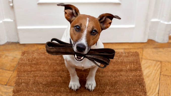 Картинка из интернета