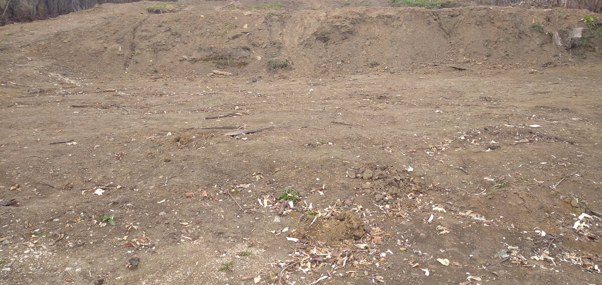 Участок 9.5 соток