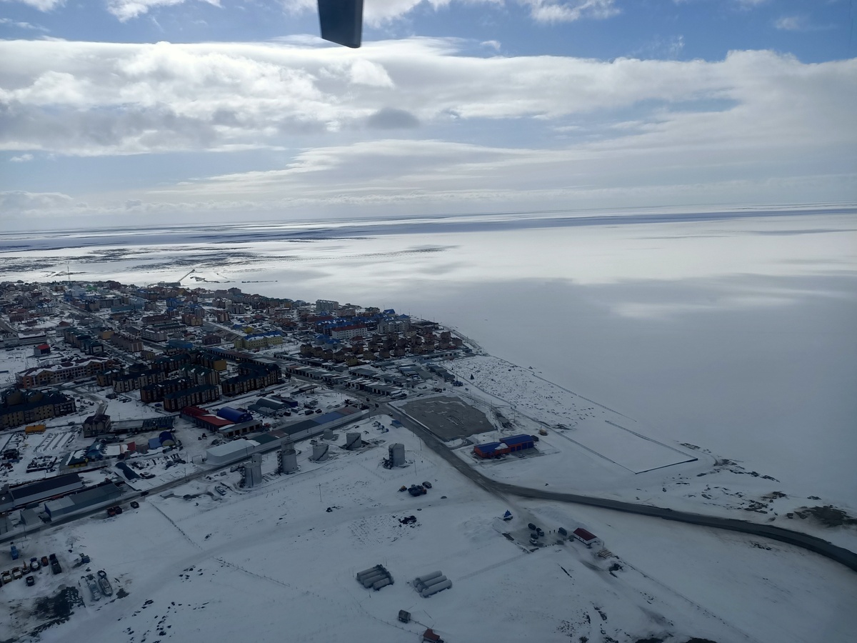 Север. Тундра