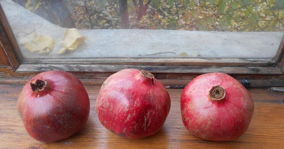 Полностью зрелые гранаты