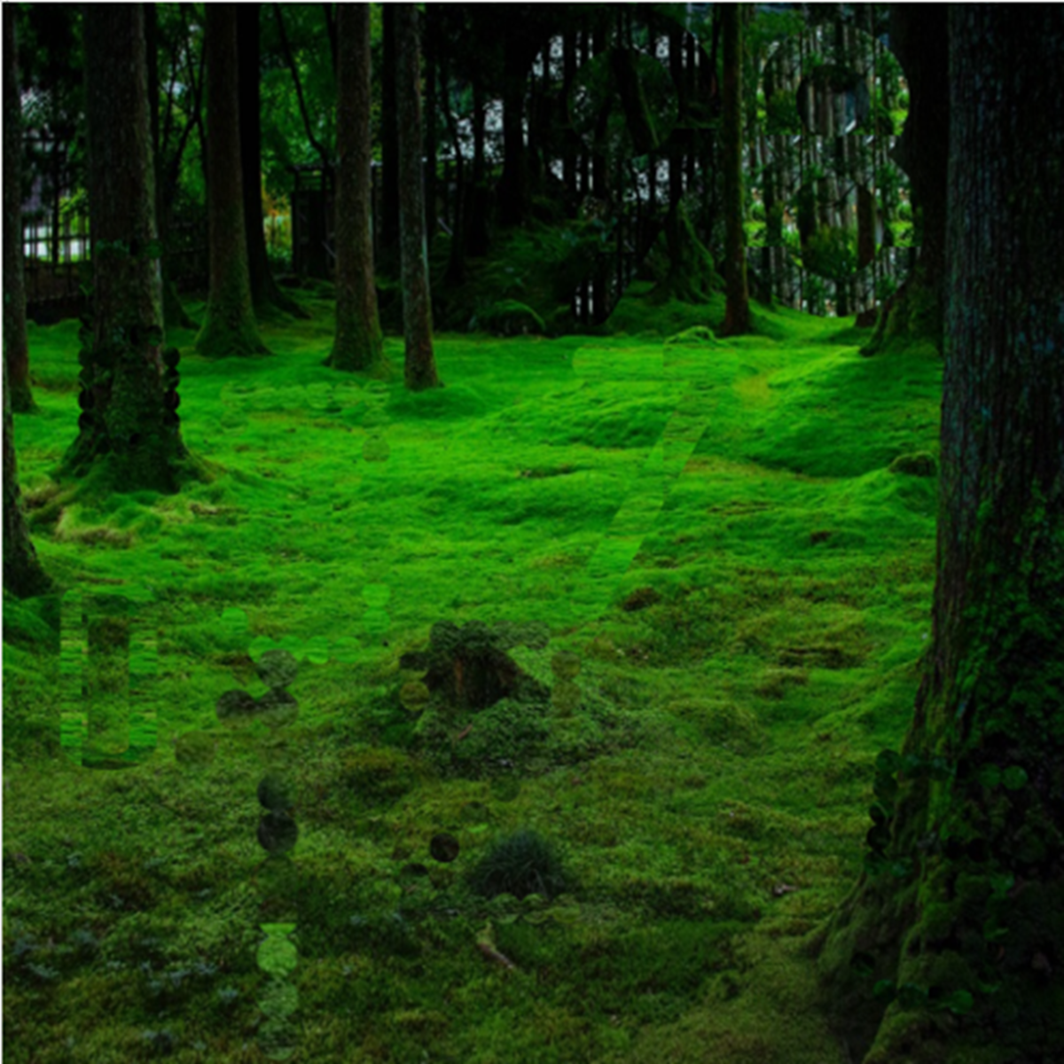 Оригинальная картинка pixabay