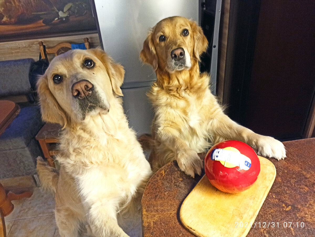 Куба, Ляля и сырок