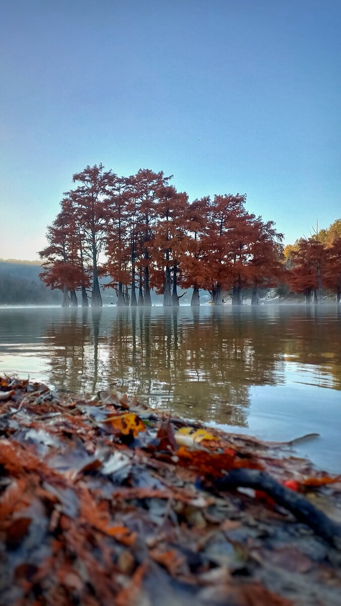 Осенние кипарисы в лёгкой дымка и в тени гор😍
