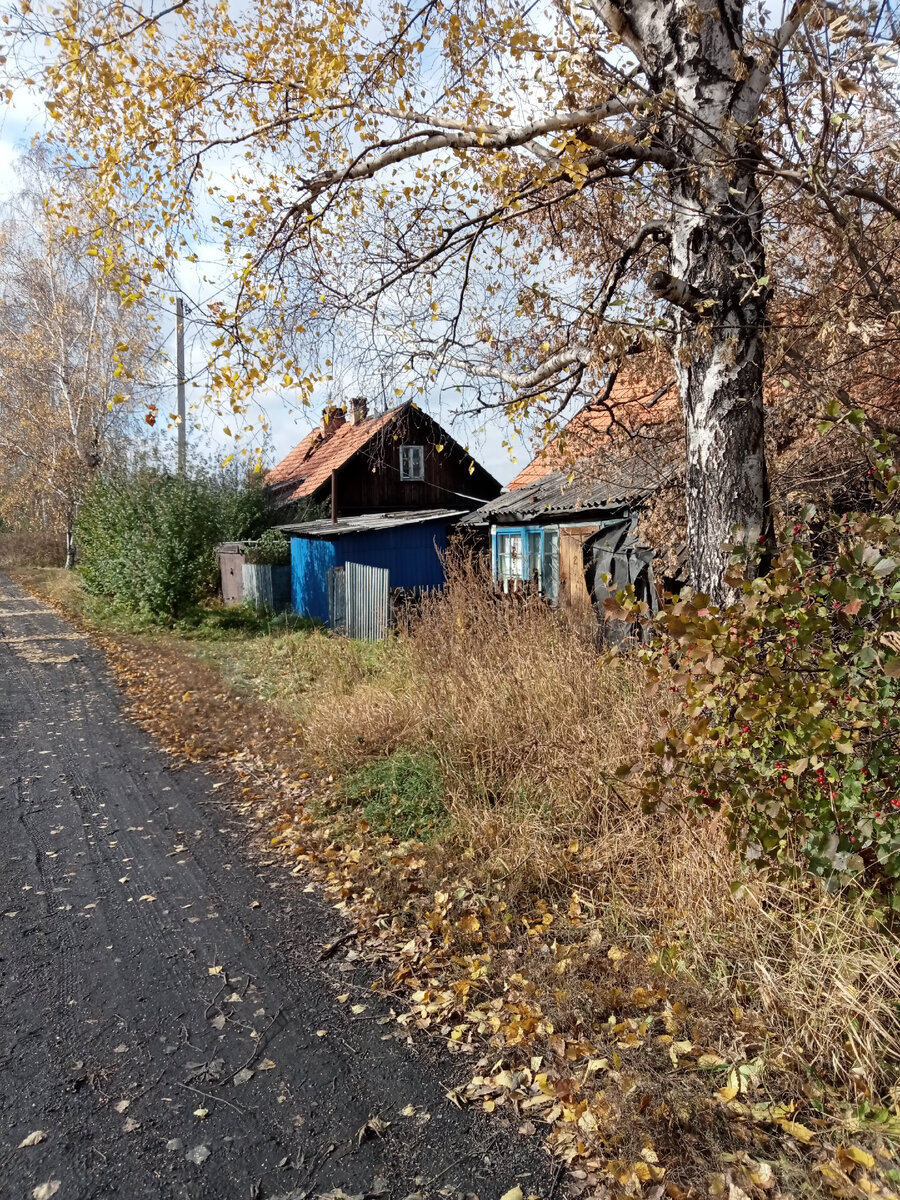 моя улица сегодня