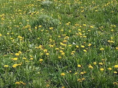 Фото из личного архива автора