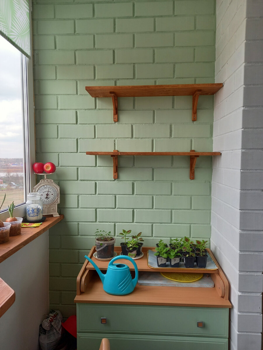 Полки закреплены, можно расставлять цветы! На фото еще подрастающая рассада петуньи от мамы)