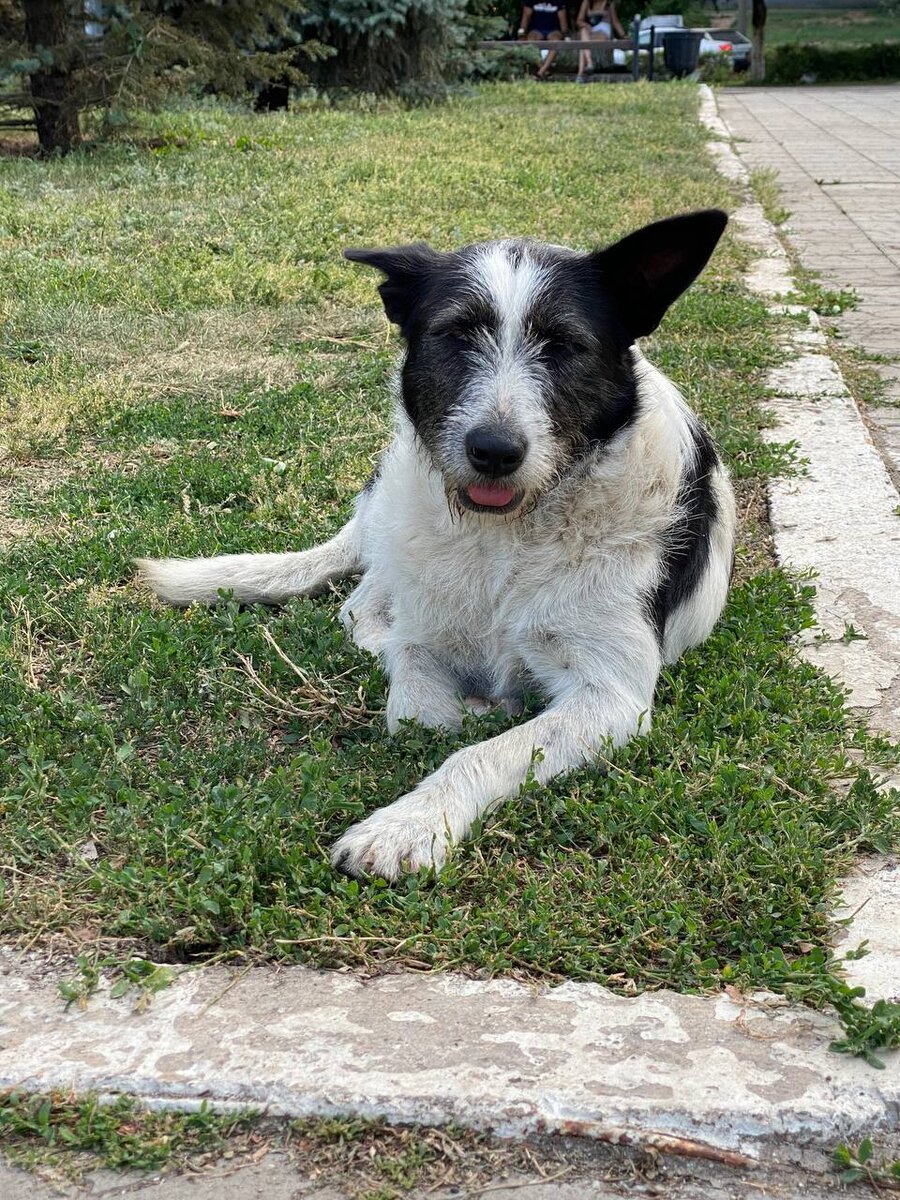 Хороша девчонка😍