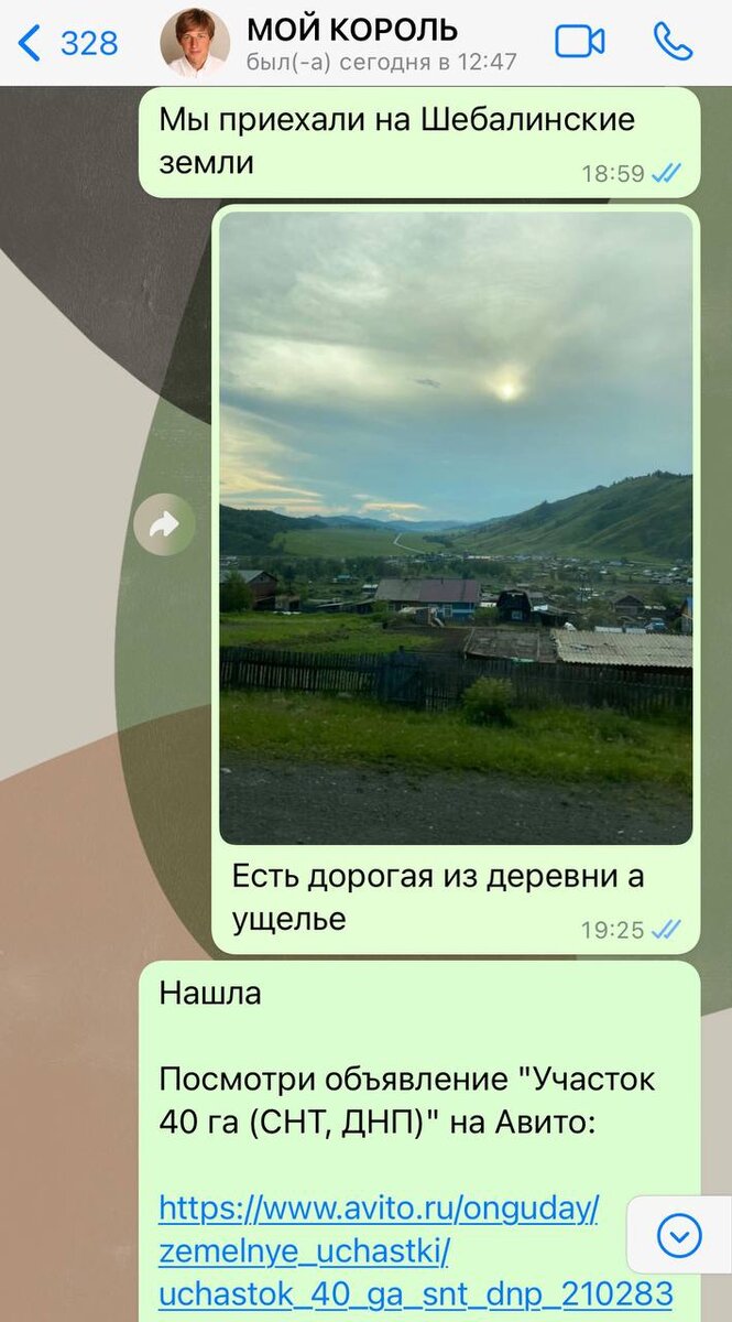 Уже через считанные минуты я на Авито нашла объявление о ПРОДАЖЕ ЗЕМЛИ В ТОЙ ДОЛИНЕ!