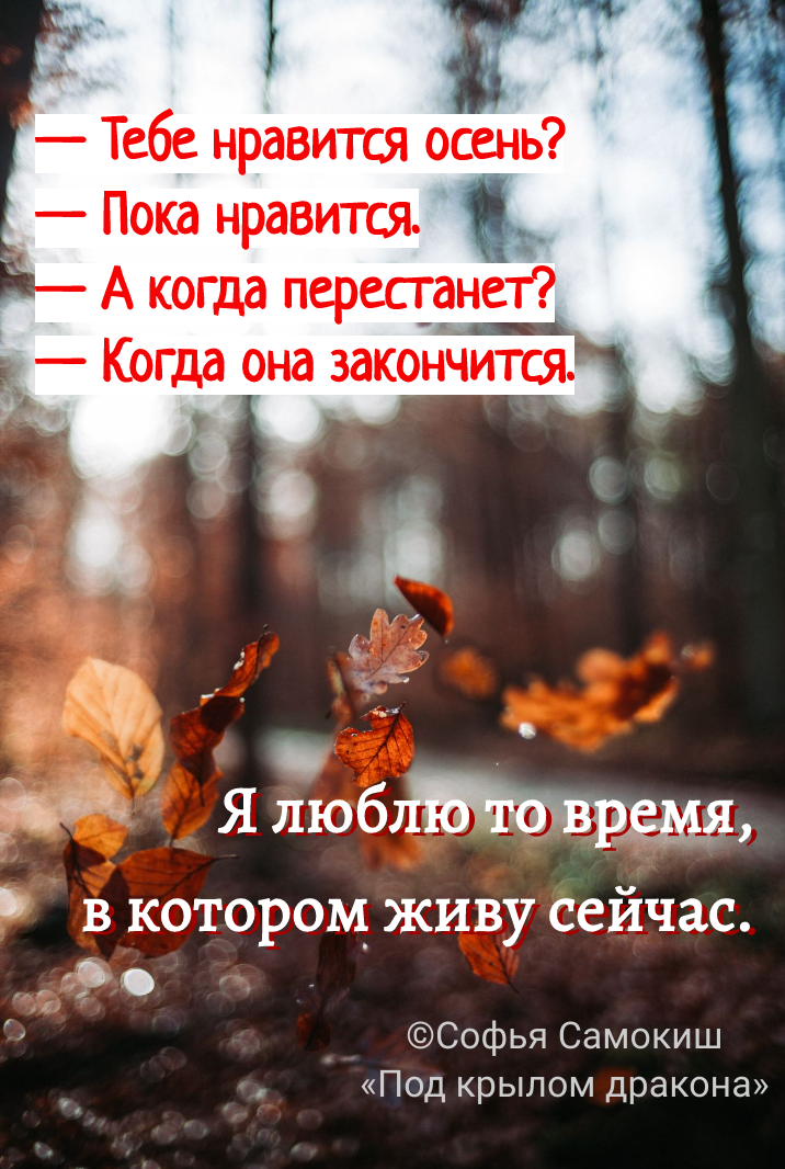 Цитата из книги «Под крылом дракона»