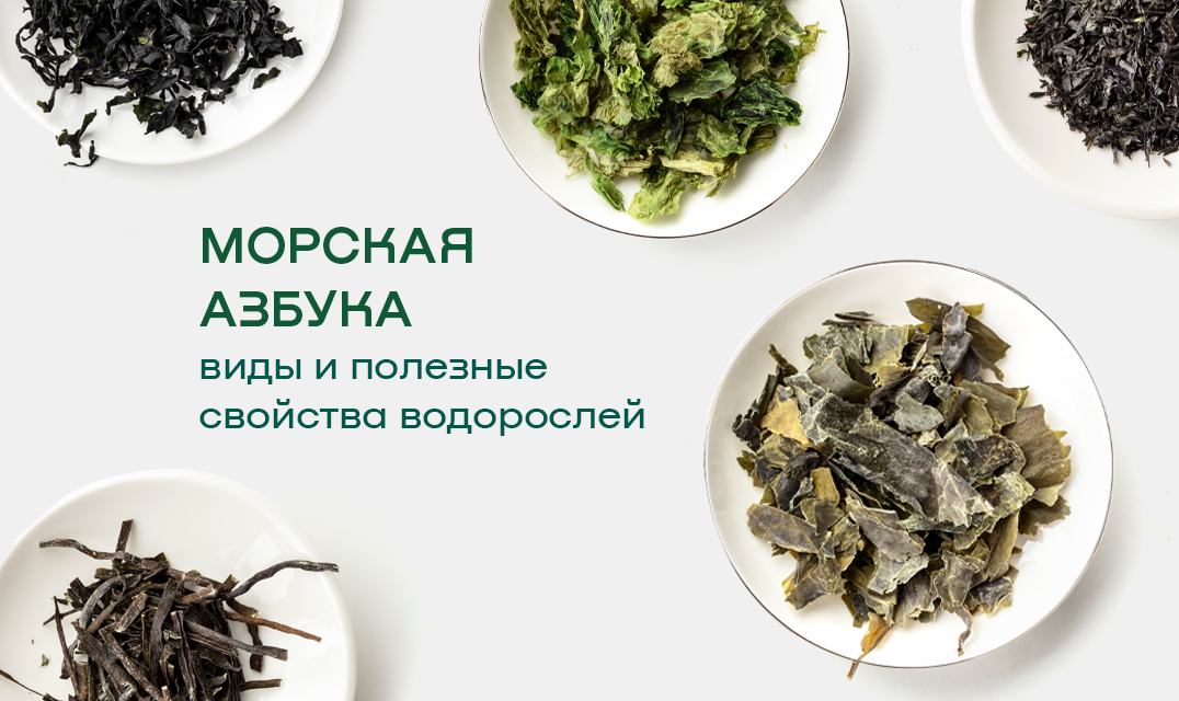 Водоросли нори. Морская капуста листы нори. Сушеные водоросли нори. Листы нори для еды. Морская капуста нори в море.