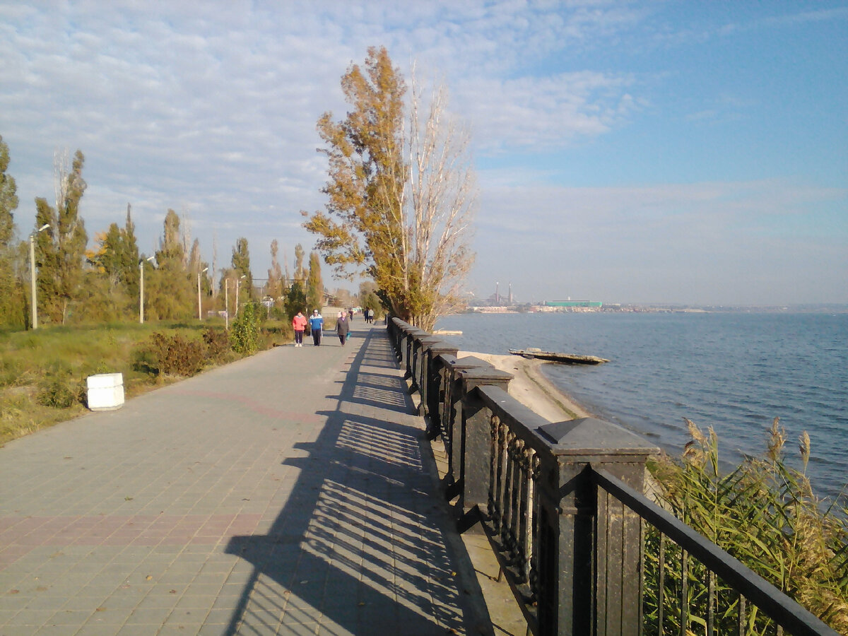 Студия Активного Здоровья