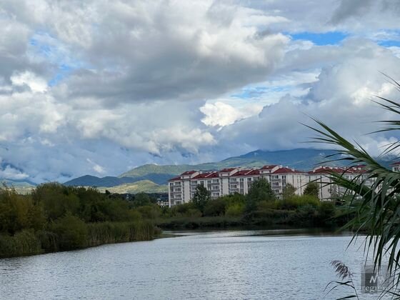    В «Орнитологическом парке». Адлерский район. Сириус Екатерина Булатова © ИА REGNUM