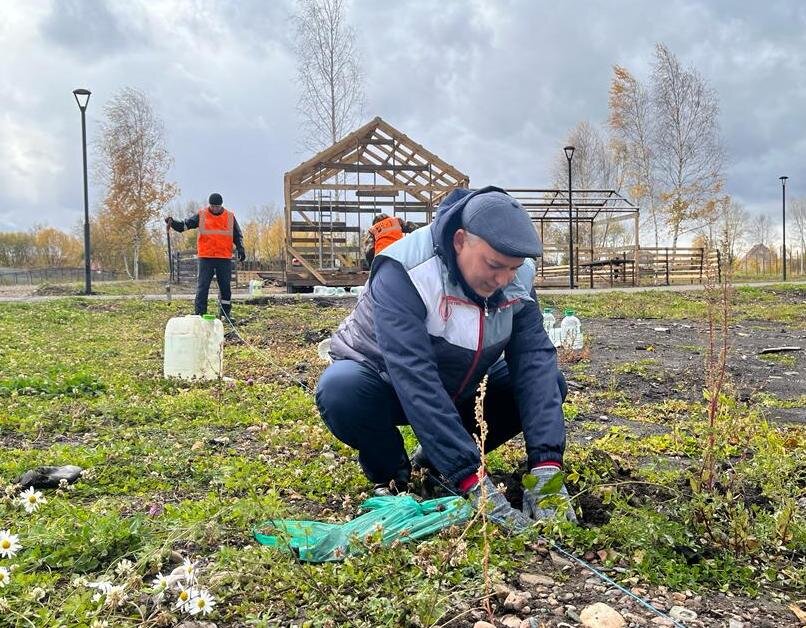 Тайшетские железнодорожники заложили аллею в городском парке