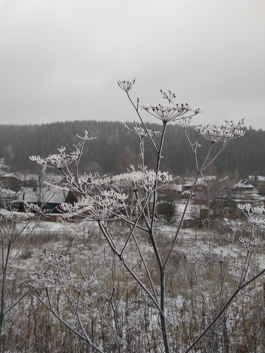 От остановки