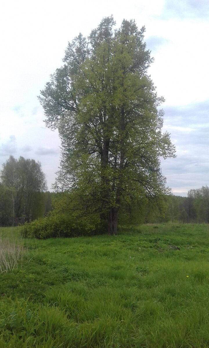 личное фото