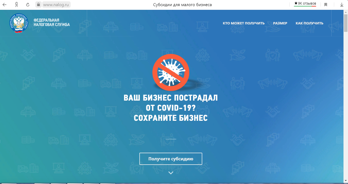 Фото с сайта https://www.nalog.ru/rn39/business-support-2020/subsidy/