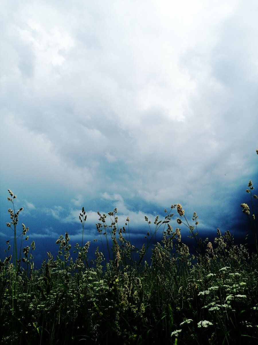Немного страшно было в поле во время раскатов