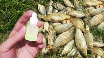 Фото взято из открытых источников