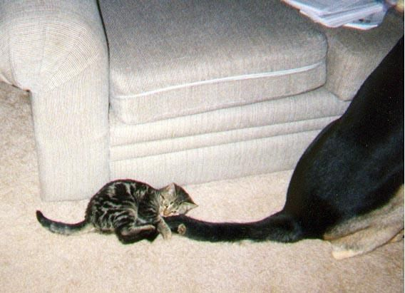 Иллюстрация из коллекции Яндекс