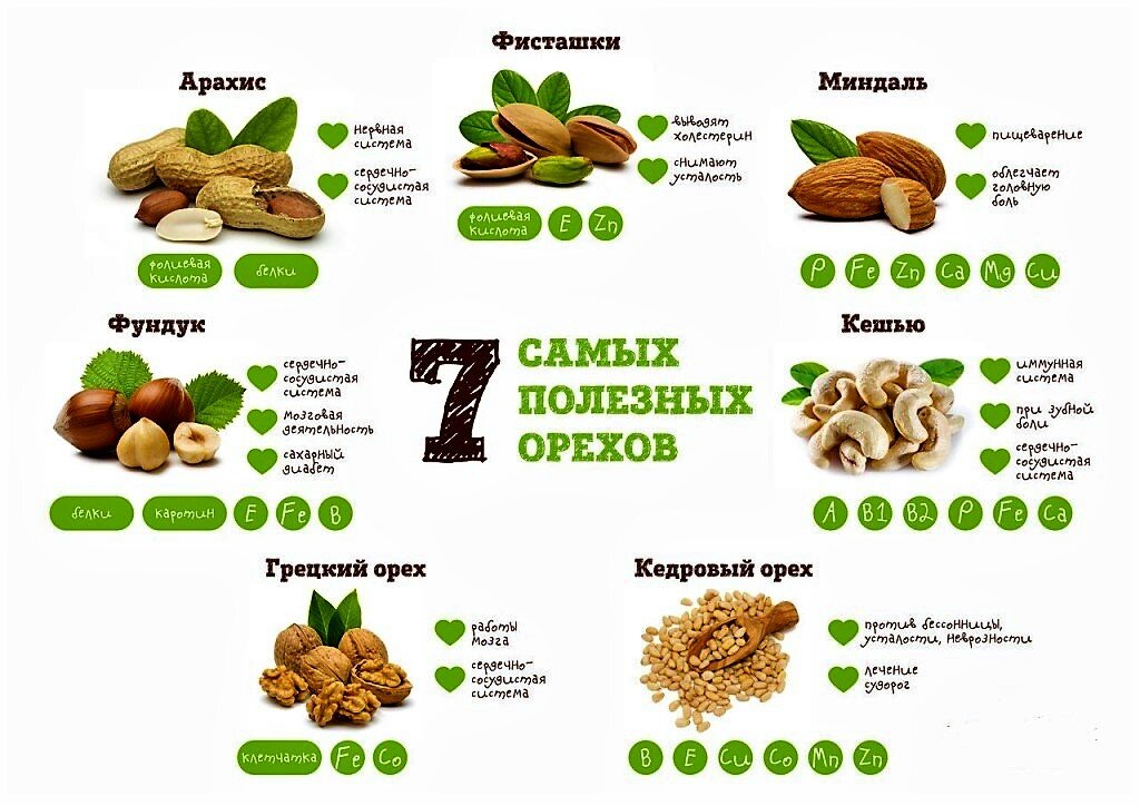 Польза орехов и необходимость ежедневного потребления. Фото Яндекс.Картинки
