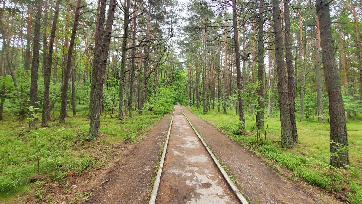 Дорожка на залив