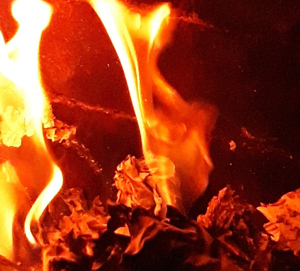 (Моя фотография)