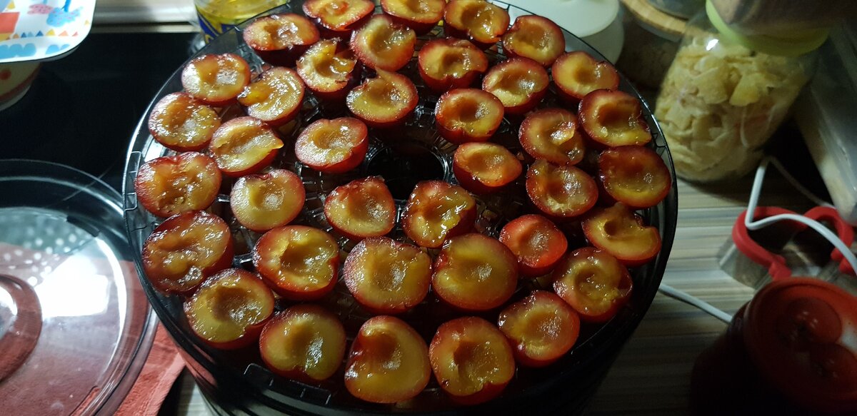 Сливы посолить и посахарить