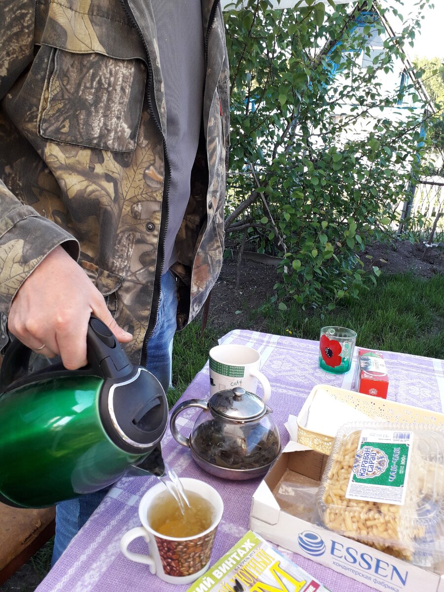 Самоизоляция на даче. Фото автора