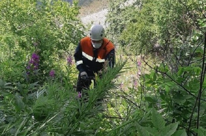 Восхождение на вулкан