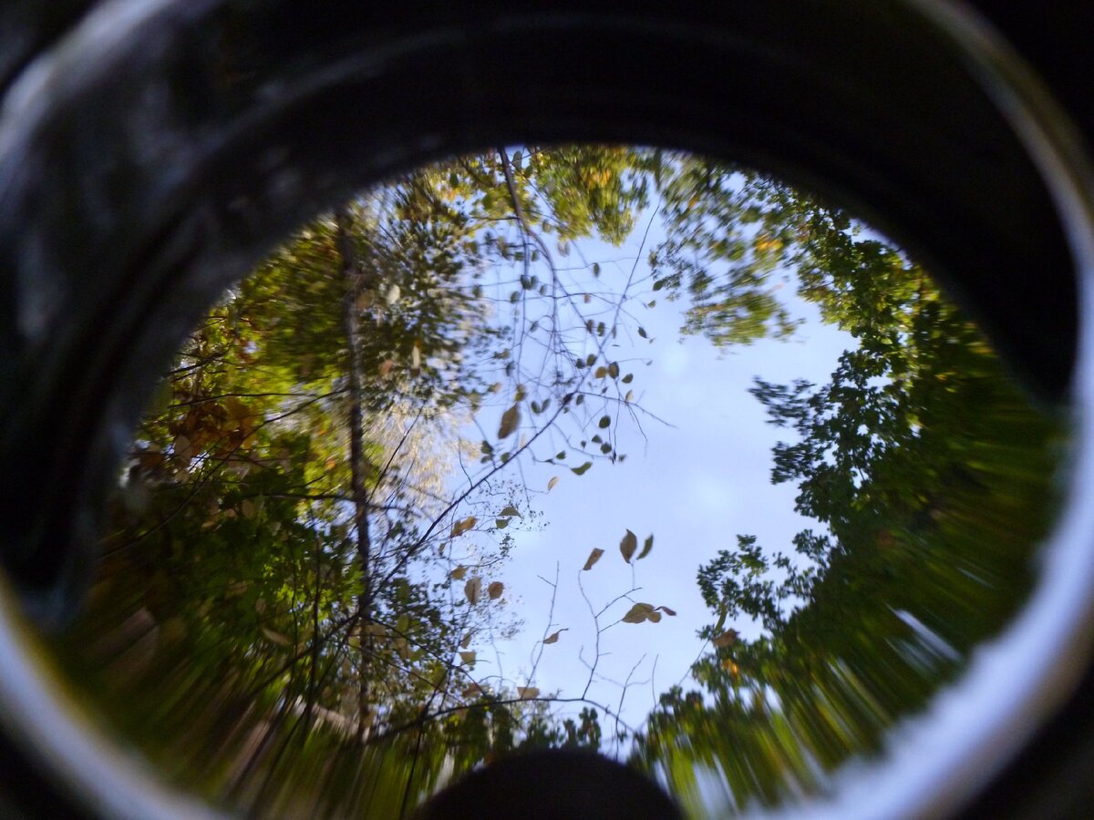 Не отвар - а произведение искусства😊