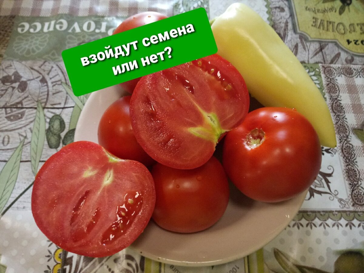 Сладкие помидоры и ароматный перец выращиваем из самых качественных семян!