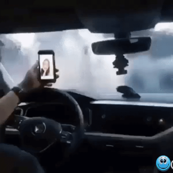 Gif взята из открытых источников 
