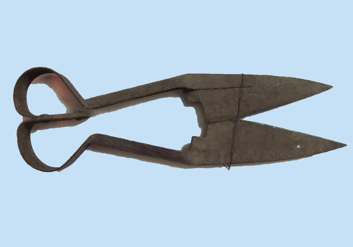 Ножницы для стрижки овец. Яндекс картинки.