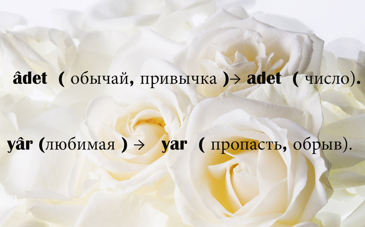 диактрический знак полностью меняет значение слова
