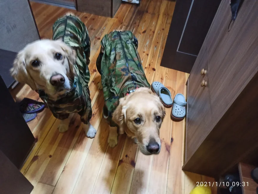 Куба и Ляля по мнению Маняхи, похожи на солдат-срочников