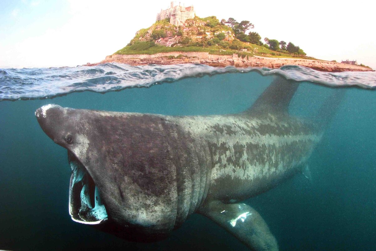 Источник: yandex.ru