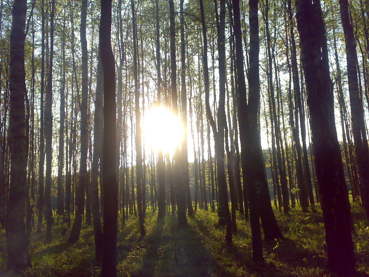 Подмосковье