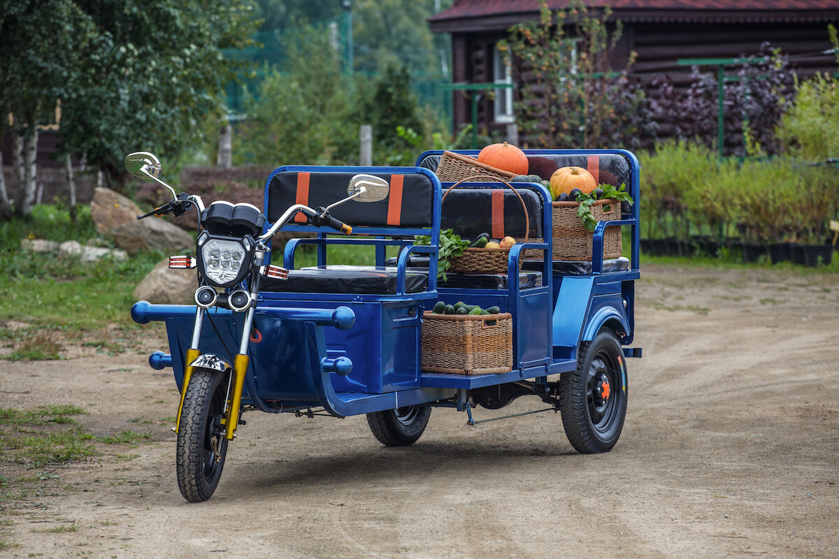 Трициклы в омске. Грузовая электрическая тележка (ГЭТ- 750.1200.32). Грузовая электрическая тележка (ГЭТ - "пикап Тритон" -750 .1200.32). Грузовая электрическая тележка (ГЭТ "Титан" -2.1300.1800.52. Грузовой мотороллер муравей 3 с кабиной.