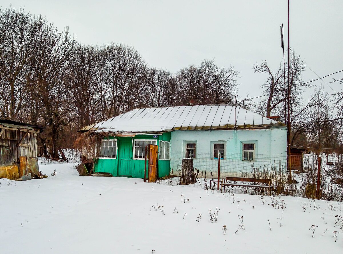 Деревня, где осталось всего четыре дома. Чтобы купить продукты, местная  бабулька переходит речку по опасному мосту без перил | Прекрасное рядом |  Дзен