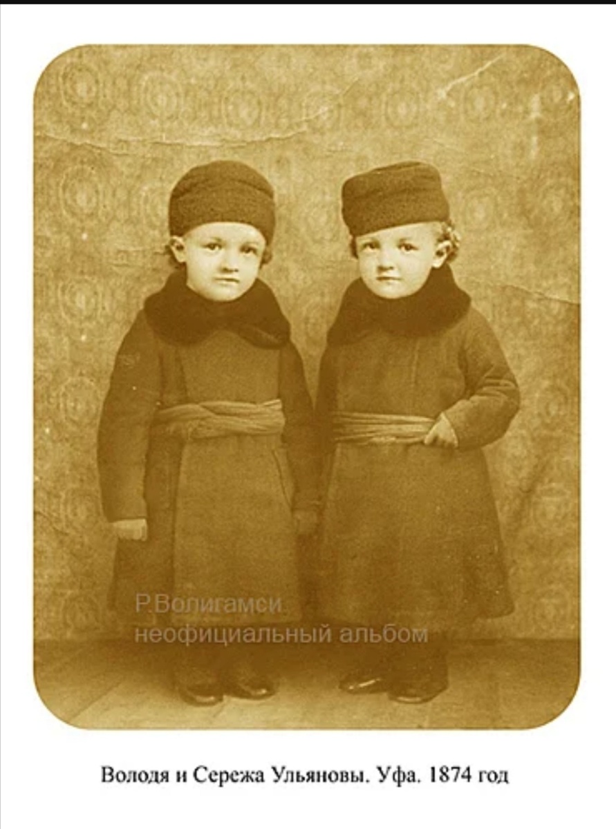 фото voligamsi.com
