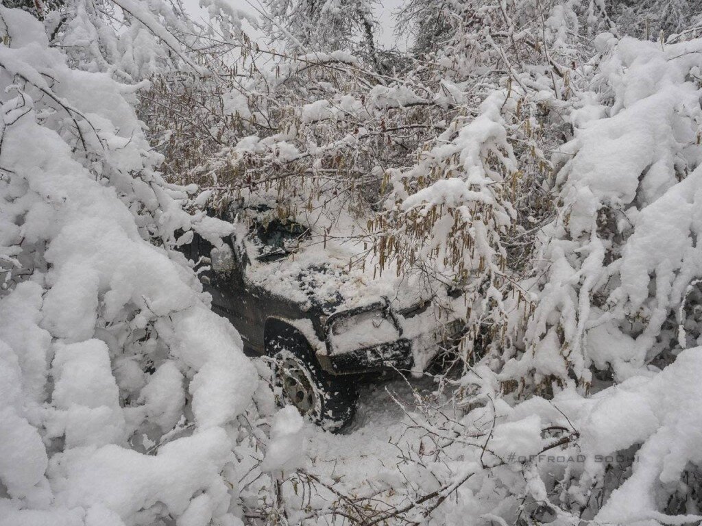 Фото из соц. сетей.  Утренний "нежданчик".